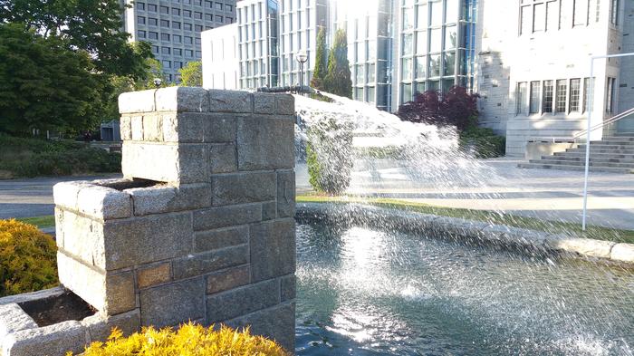 Van Pelt's Fountain photo