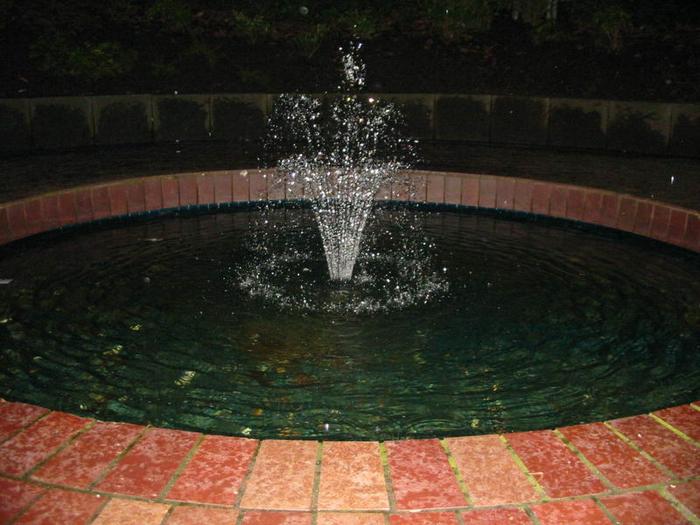 Burrard Station lil Pond photo