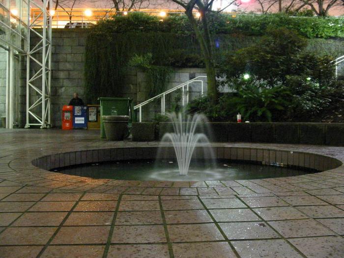 Burrard Station lil Pond photo