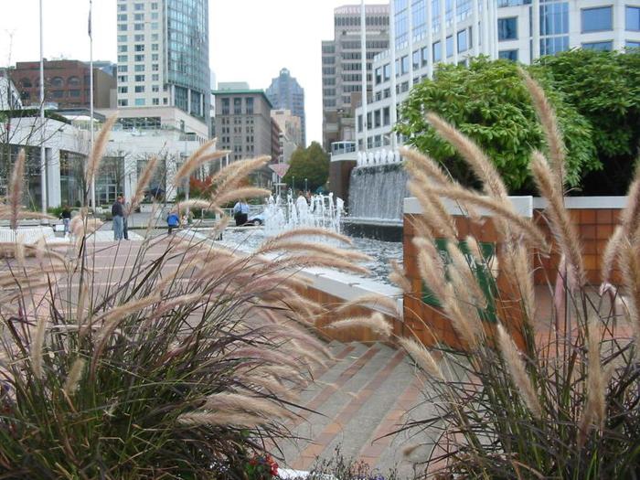 Canada Place Flag Pond photo