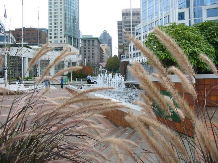 Canada Place Flag Pond photo