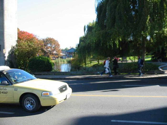 Granville Island Duck Pond photo