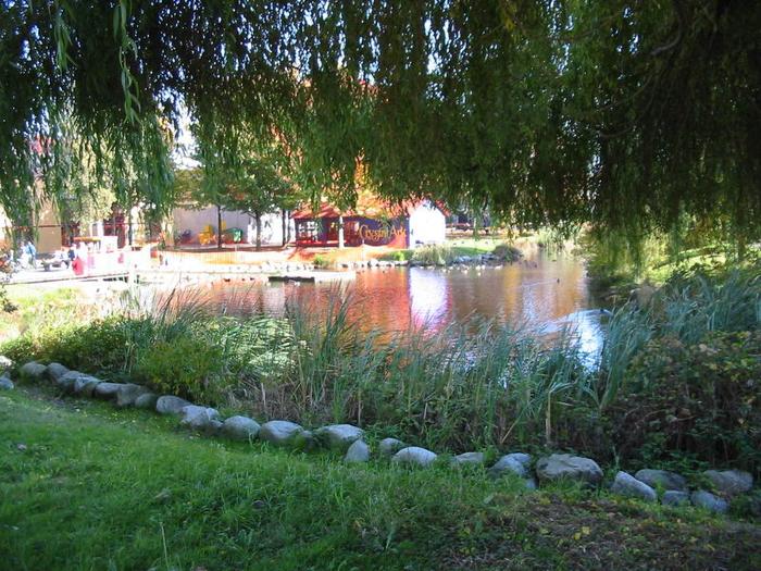 Granville Island Duck Pond photo