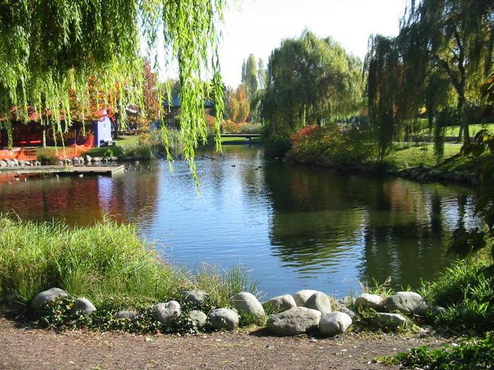 Granville Island Duck Pond photo