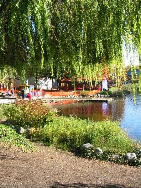 Granville Island Duck Pond photo