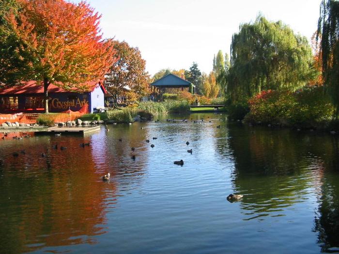 Granville Island Duck Pond photo