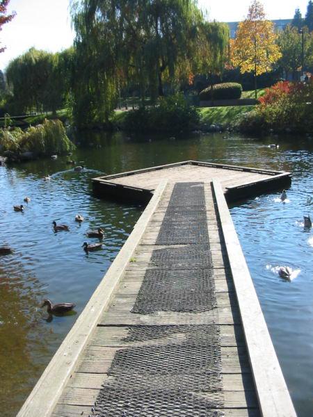 Granville Island Duck Pond photo