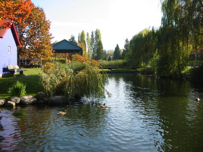 Granville Island Duck Pond photo