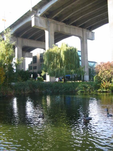 Granville Island Duck Pond photo