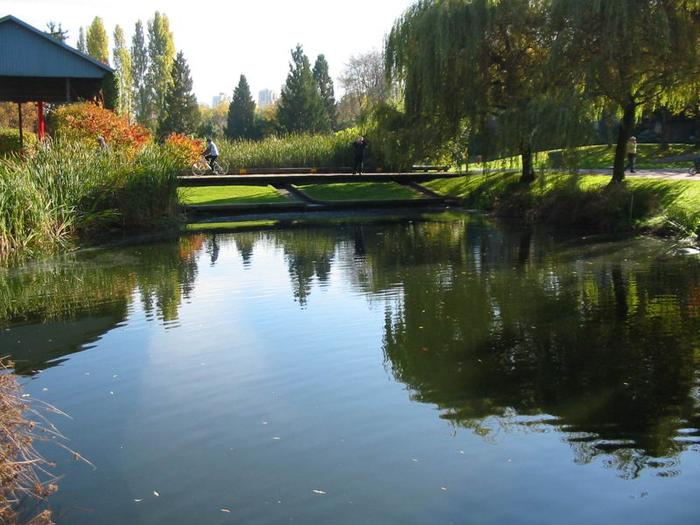 Granville Island Duck Pond photo