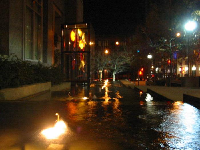 Chihuly Flower Pool photo