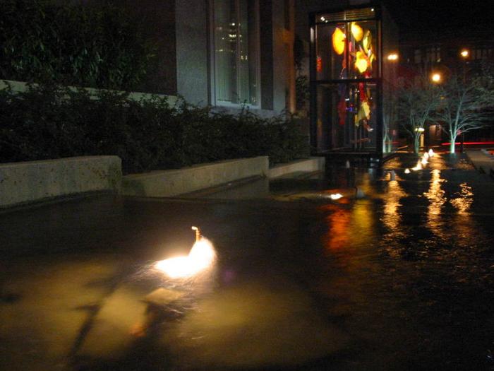 Chihuly Flower Pool photo