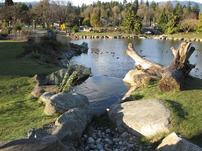 Stone Bridge Pond photo