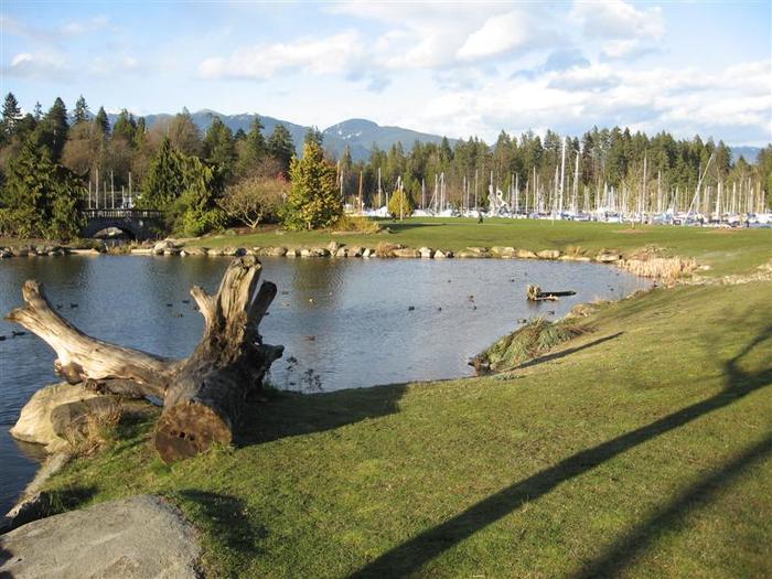 Stone Bridge Pond photo