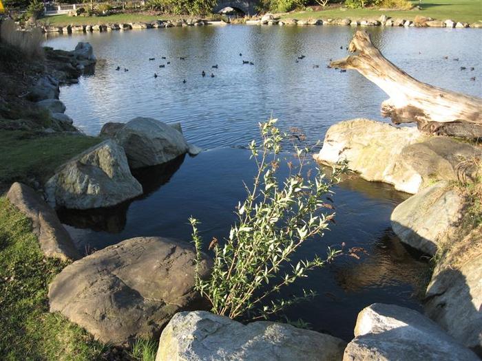 Stone Bridge Pond photo