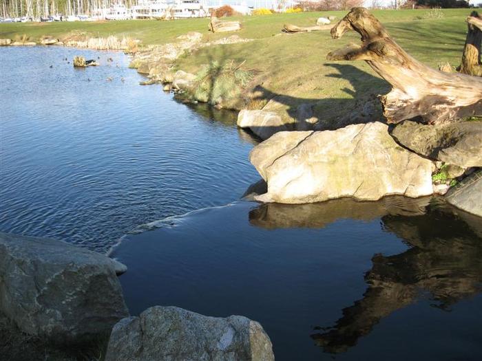 Stone Bridge Pond photo