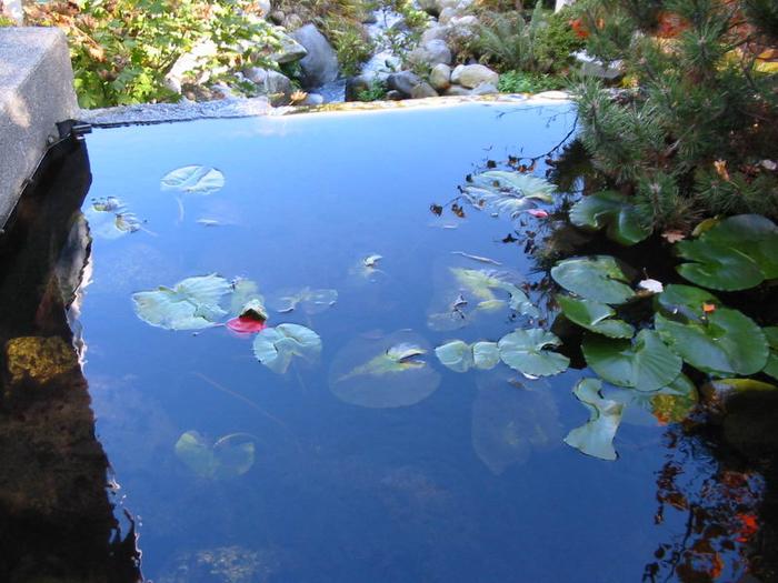 The Lagoons photo