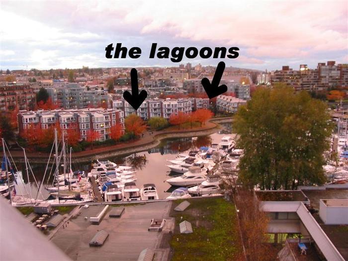 The Lagoons photo