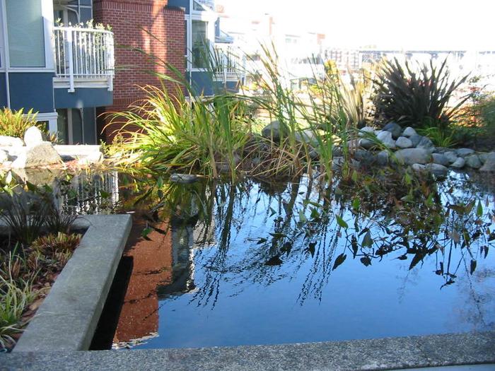 The Lagoons photo