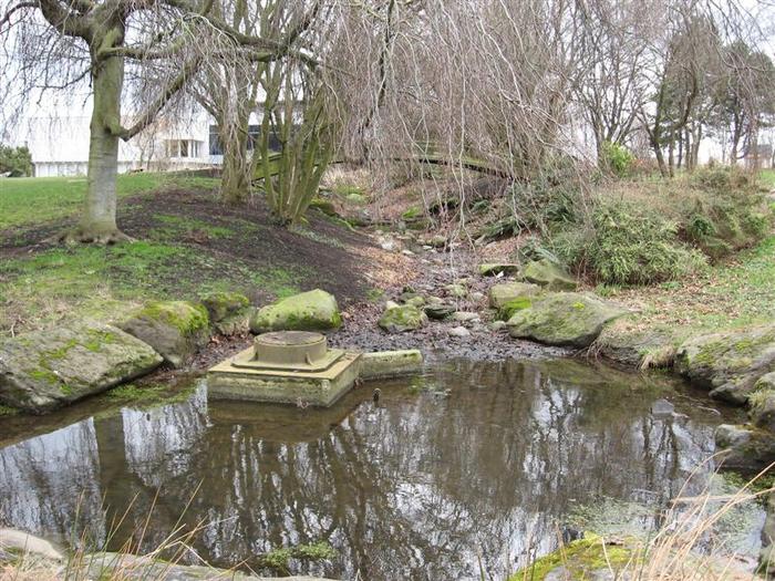 Vanier Point Pond and Bridge photo