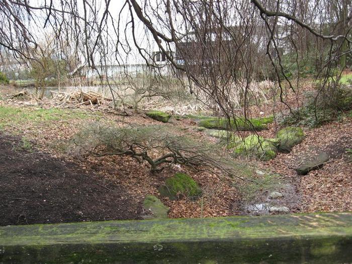 Vanier Point Pond and Bridge photo