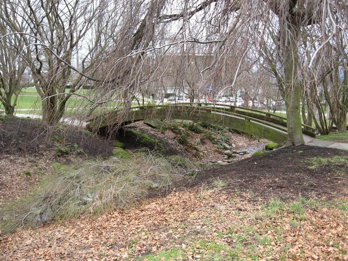 Vanier Point Pond and Bridge photo