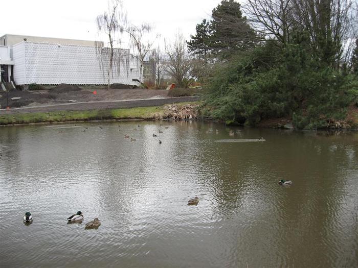 Vanier Point Pond and Bridge photo