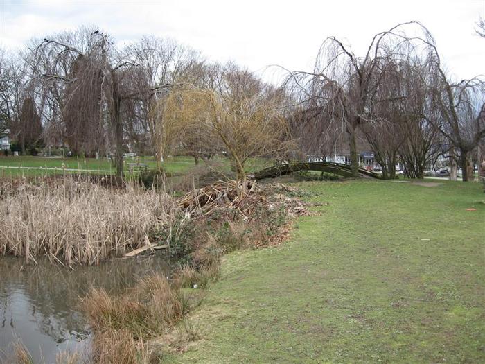 Vanier Point Pond and Bridge photo