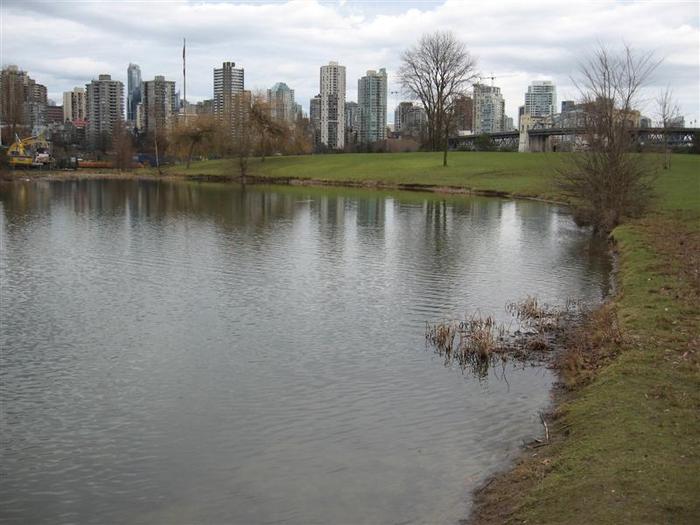 Vanier Point Pond and Bridge photo