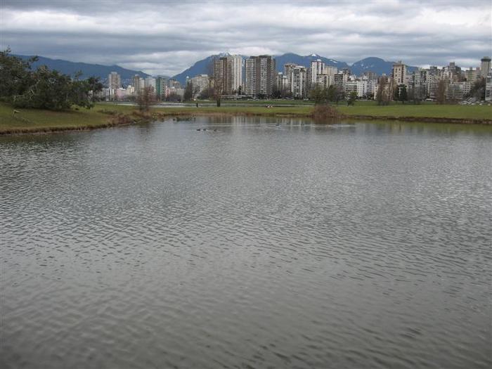 Vanier Point Pond and Bridge photo