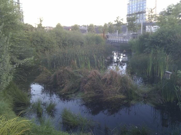 Olympic Village Duck Pond photo