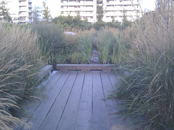 Olympic Village Duck Pond photo