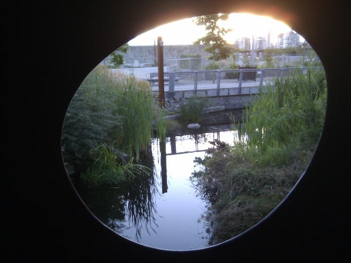 Olympic Village Duck Pond photo