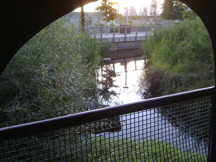 Olympic Village Duck Pond photo