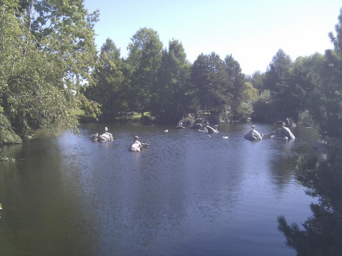 False Creek Duck Pond photo