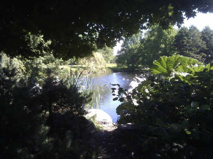 False Creek Duck Pond photo