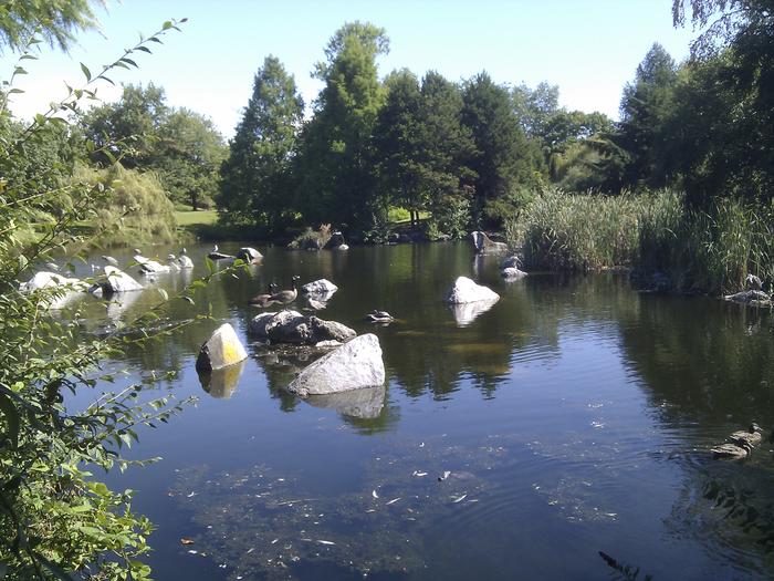 False Creek Duck Pond photo