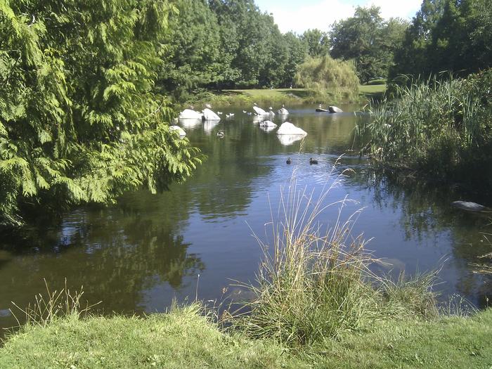 False Creek Duck Pond photo