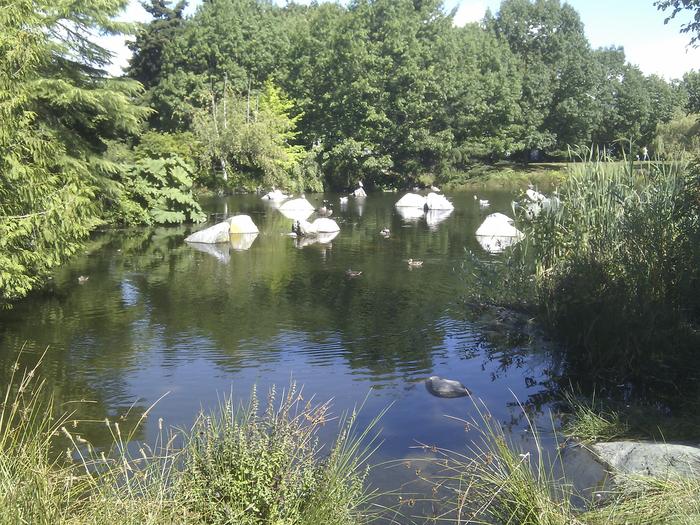 False Creek Duck Pond photo