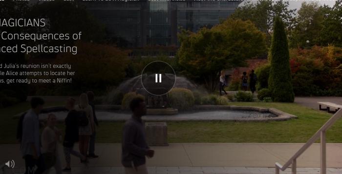 Van Pelt's Fountain photo