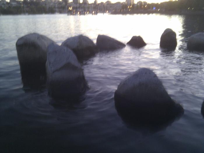 Waterhenge photo