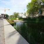 UBC Ladder Marsh photo # 1