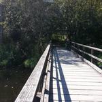 Burnaby Lake photo # 14