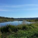 Burnaby Lake photo # 16