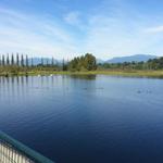 Burnaby Lake photo # 21