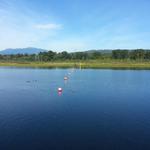 Burnaby Lake photo # 18