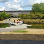 SFU Reflecting Pond photo # 12