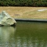 SFU Reflecting Pond photo # 1