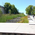 UBC Ladder Marsh photo # 10