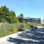 UBC Ladder Marsh photo # 5